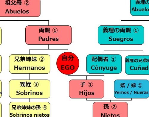[スペイン語]Parentesco.血縁関係、親族を表す単語。padre、madre、hermano以外の親族もまとめてみた。
