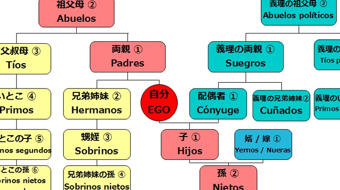 スペイン語 Parentesco 血縁関係 親族を表す単語 Padre Madre Hermano以外の親族もまとめてみた Tirimenj5